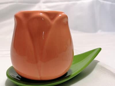 Tazzina a forma di tulipano arancione con piattino a forma di foglia