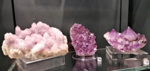 Museo della Natura e dell’Uomo di Padova-un viaggio tra scienza, biodiversità e storia-3