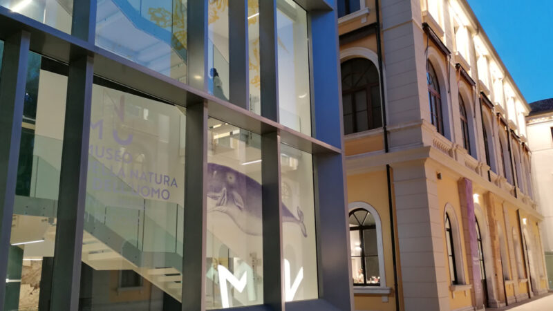 Museo della Natura e dell’Uomo di Padova-un viaggio tra scienza, biodiversità e storia